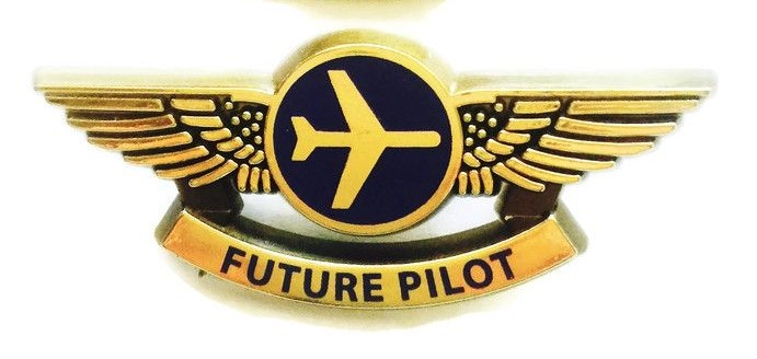 pilot logo course details (1)